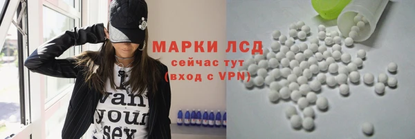 СК Покачи