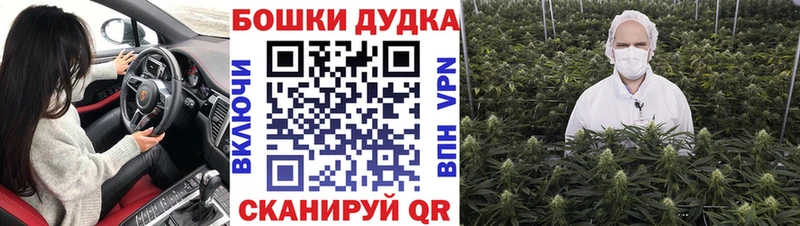 Канабис сатива  Кораблино 